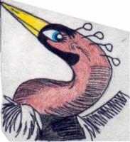 Anhinga
