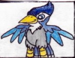 Bluejay