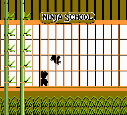 Ninja School