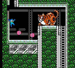 Do the Bobcat Bounce!