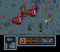 Undersea worms and cacti tend to be many times bigger than people